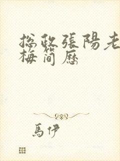 总政张阳老婆吕梅简历