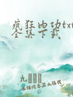 疯狂内功txt全集下载