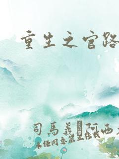 重生之官路情长
