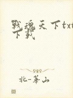 战魂天下txt下载
