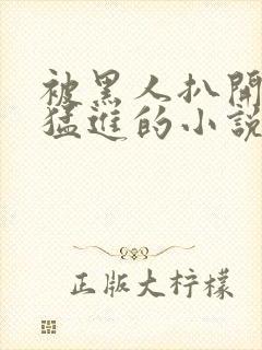 被黑人扒开双腿猛进的小说