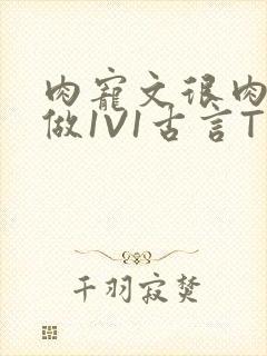 肉宠文很肉到处做1V1古言T