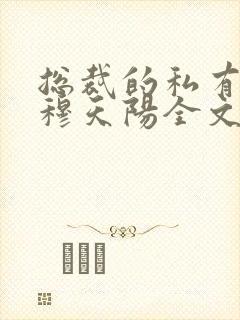 总裁的私有宝贝穆天阳全文阅读