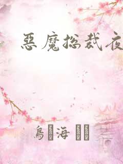 恶魔总裁夜锁爱