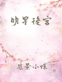 明星后宫