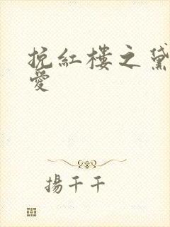 挽红楼之黛玉绝爱