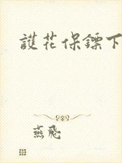 护花保镖下载