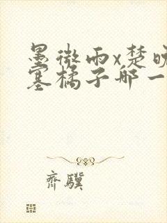 墨微雨x楚晚宁塞橘子哪一章