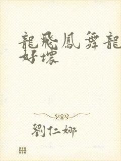 龙飞凤舞龙王你好坏