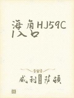 海角HJ59C1入口