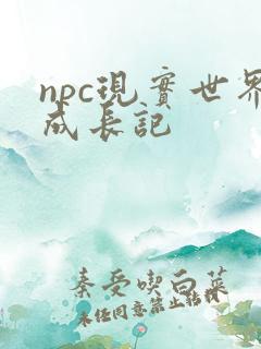 npc现实世界成长记