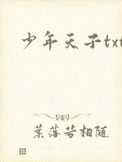 少年天子txt