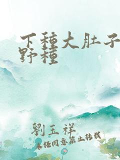 下种大肚子怀孕野种