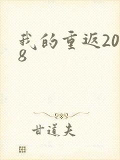 我的重返2008
