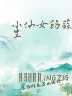 小仙女的苏撩先生