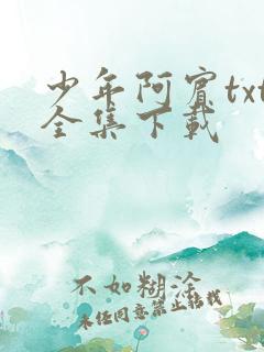 少年阿宾txt全集下载