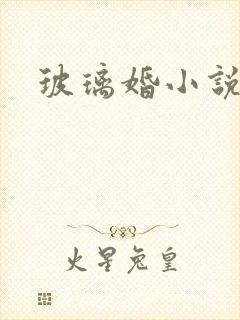 玻璃婚小说