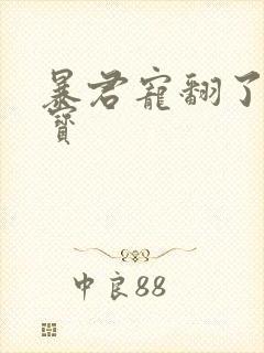 暴君宠翻了小娇宝