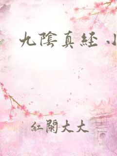 九阴真经 小说