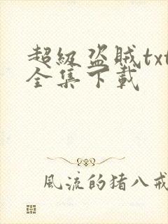 超级盗贼txt全集下载