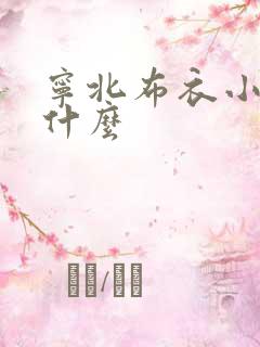 宁北布衣小说叫什么