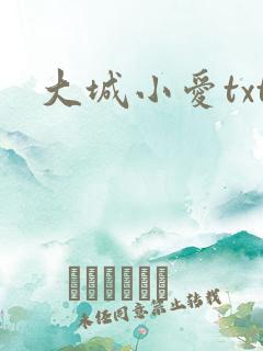 大城小爱txt