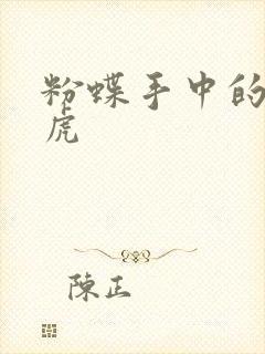 粉蝶手中的纸老虎