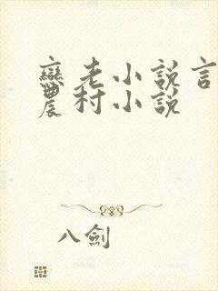 恋老小说言情网农村小说