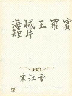 海贼王罗宾被h短片