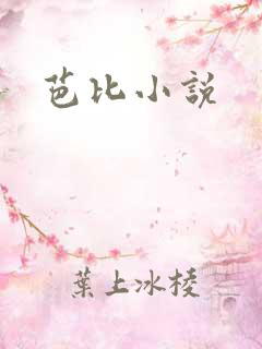 芭比小说