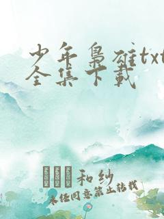 少年枭雄txt全集下载