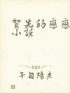 贺先的恋恋不忘小说