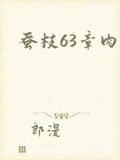 蚕枝63章肉