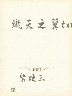炽天之翼txt