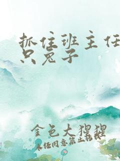 抓住班主任的两只兔子