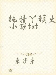 纯情丫头火辣辣小说txt