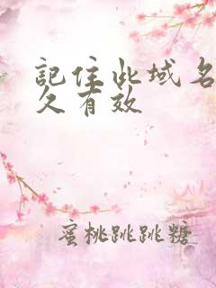 记住此域名记永久有效