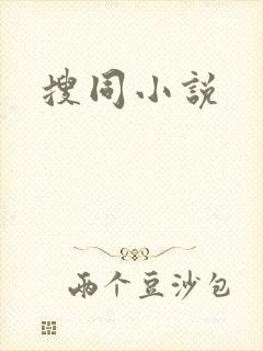 搜同小说