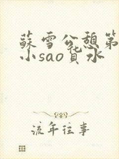 苏雪公憩第一章小sao货水