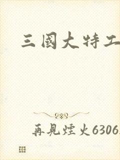 三国大特工