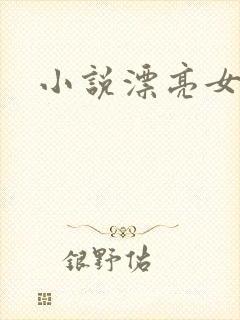 小说漂亮女局长