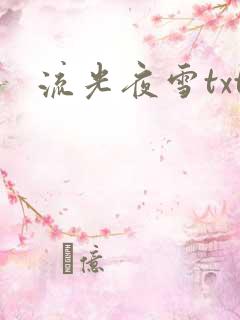 流光夜雪txt
