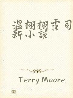 温栩栩霍司爵最新小说