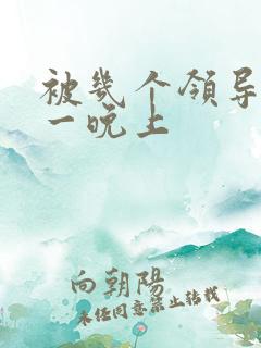 被几个领导玩弄一晚上