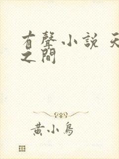 有声小说 天地之间