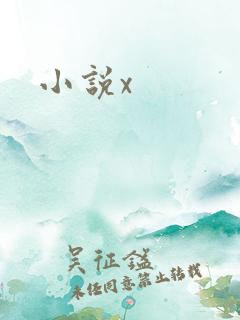 小说x