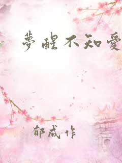梦醒不知爱欢凉