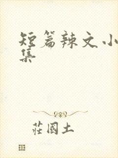 短篇辣文小说合集