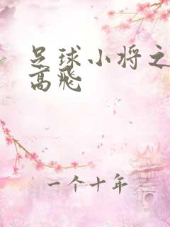 足球小将之展翅高飞