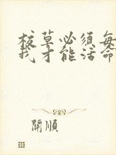 校草必须每天吸我才能活命[穿书]